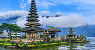 Aplikasi Translate Bahasa Bali Gratis