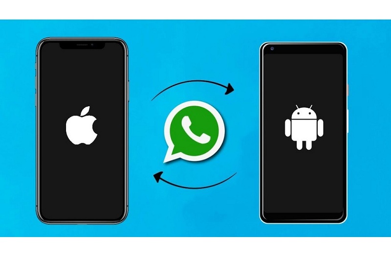 Cara Pindahkan WhatsApp Iphone ke Android Begini Tips Praktisnya